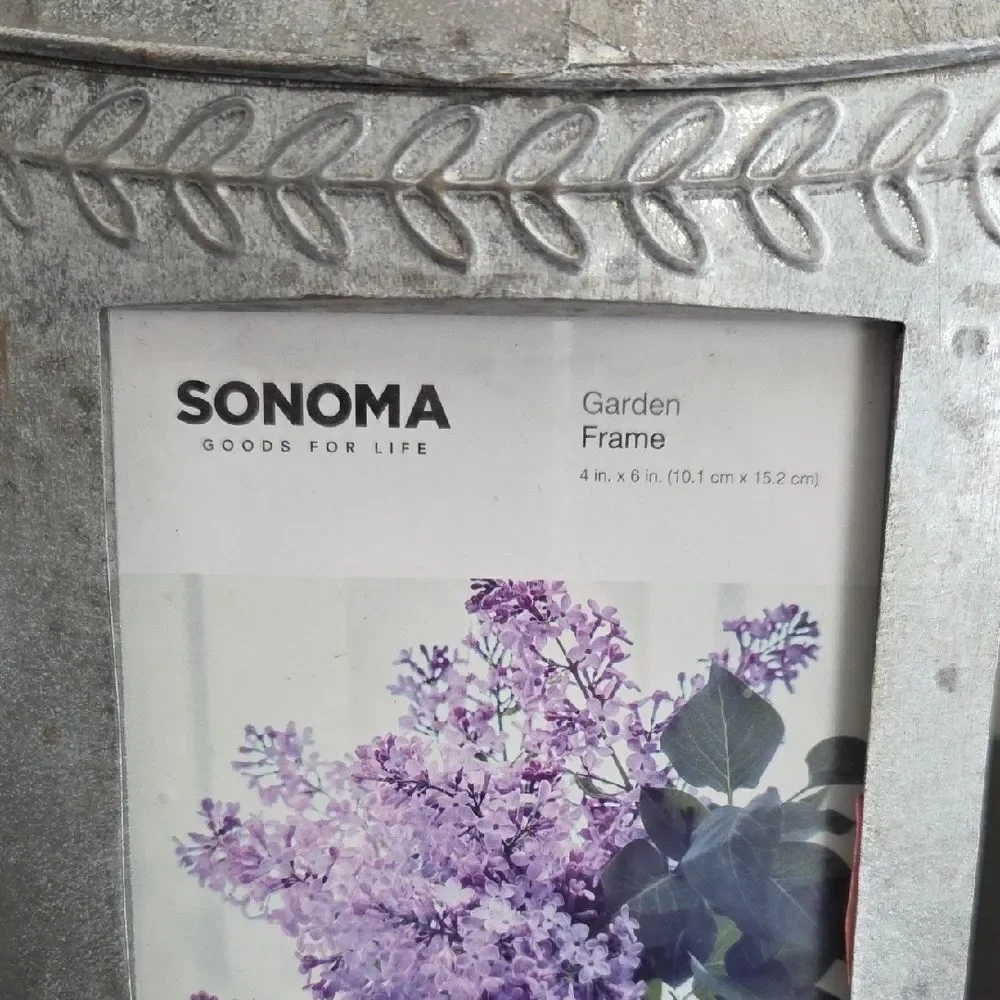 Sonoma unique silver